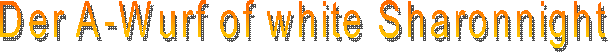 Der A-Wurf of white Sharonnight