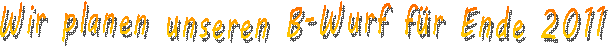 Unser B-Wurf ist da