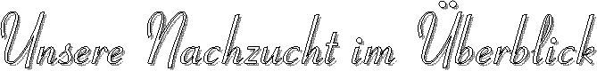 Unsere Nachzucht im �berblick