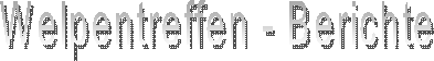 Welpentreffen - Berichte
